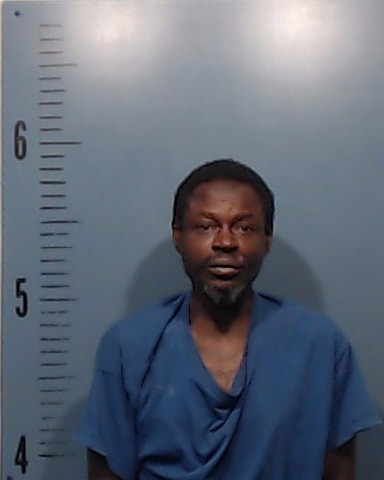 Polk, Ronald Bervan, Jr. booking photo