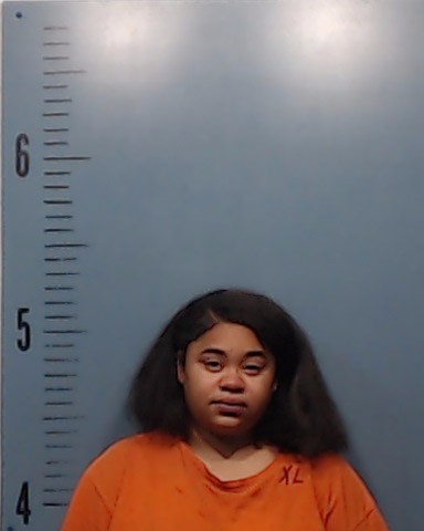 Grant, Camiyah Leshay booking photo