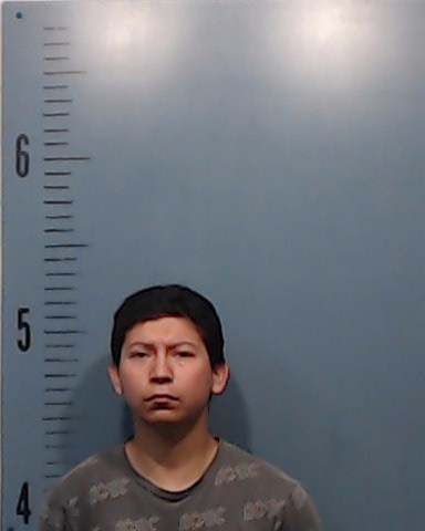 Veliz, Izriel Noel booking photo