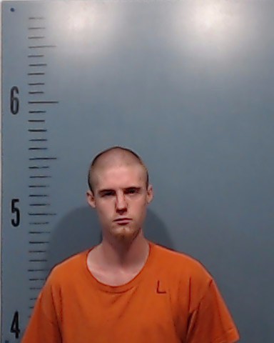 Palmour, Tyler Blaine booking photo
