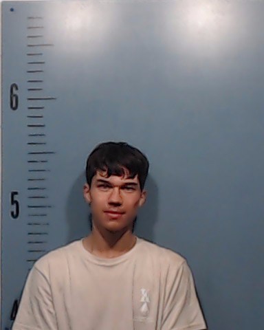 Alcorta, Henry Jospeh booking photo