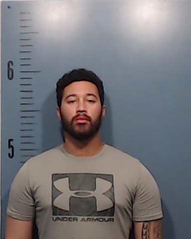 Howze, Zeb Lee, V booking photo