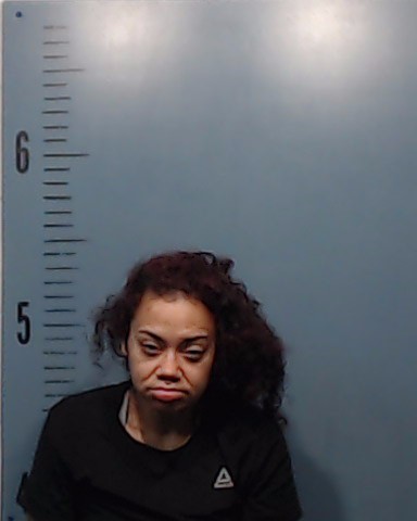 Williams, Andrea Denise booking photo