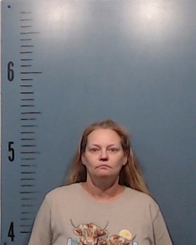 Hollis, Rhonda Ann booking photo