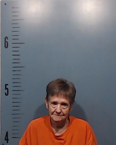 Vetter, Michelle Ann booking photo