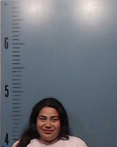 Gonzales, Sylvia Veronica A booking photo