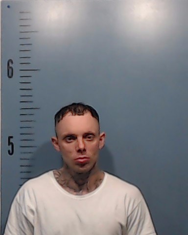 Long, Colton Dale booking photo