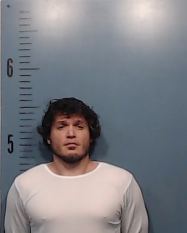 Overby, Jonathon Ross booking photo