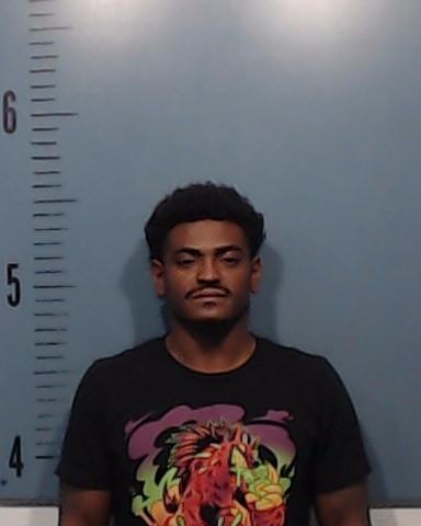 Webster, Elijah Damante-Bryse booking photo