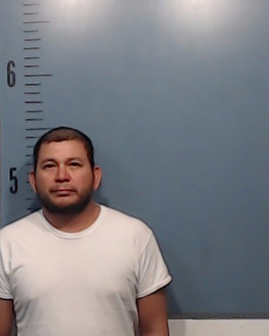 Sanchez-Lainez, Ramon Ignacio booking photo