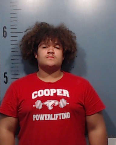 Bethley, Kaleb Da'Cameron booking photo