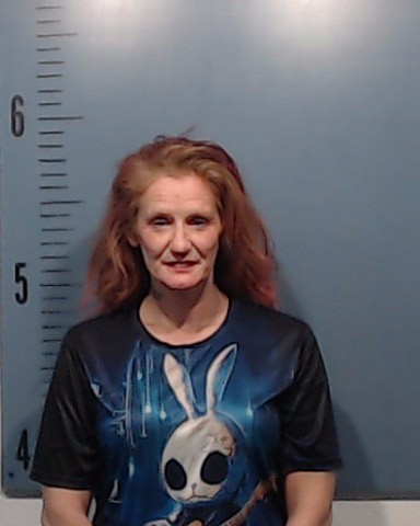 Gootee, Amanda June booking photo
