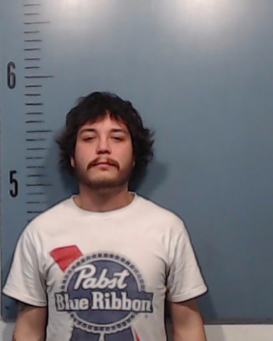 Flores, Joel Roy booking photo