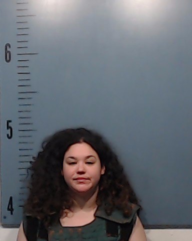 Willett, Amelia Leigh booking photo