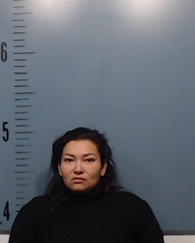 Ramirez-Segura, Joselinne Denisse booking photo