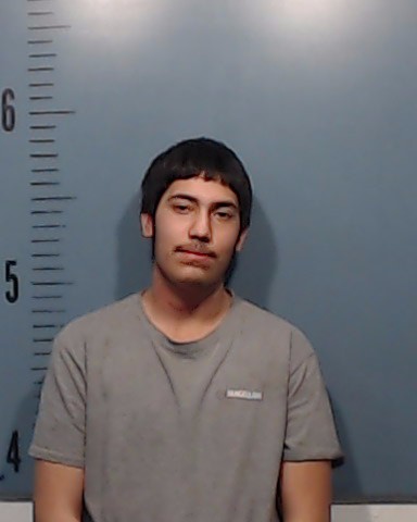 Chavez, Daniel Xavier booking photo