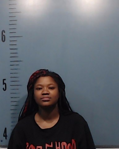 Beaver, Iyone Ziayree Alashanik booking photo