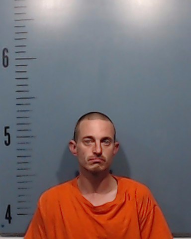 Llewellyn, Dustin Taylor booking photo