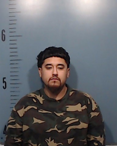 Tamez, Pedro, III booking photo