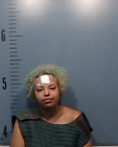 Sherman, Nichole Elizabeth booking photo