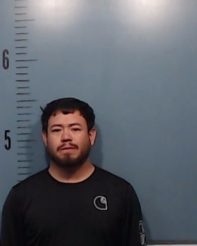 Hernandez-Becerra, Jose booking photo