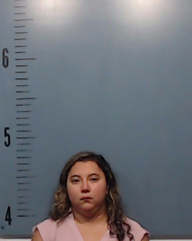 Hernandez De Lopez, Julissa Esmeralda booking photo