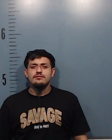 Hernandez, Benjamin booking photo