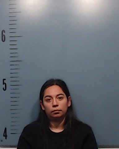 Ward, Marisela Elena booking photo