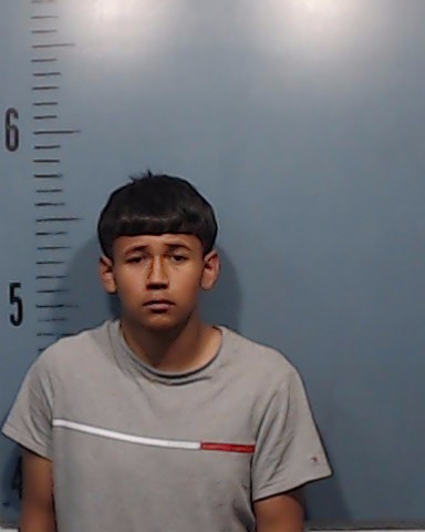 Ocegueda, Jesus Manuel booking photo