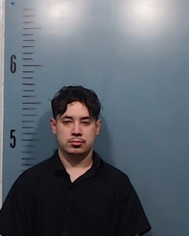 Gallegos, David Huerta booking photo