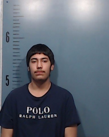 Chavez, Daniel Xavier arrested by Taylor County SO/PD