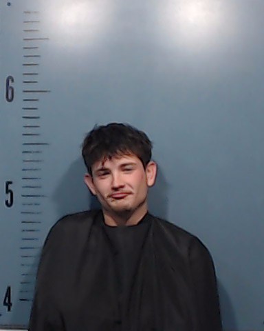 Price, Daniel Aidan booking photo