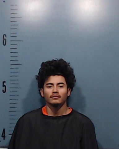 Milla-Alvarado, Jose Alain booking photo