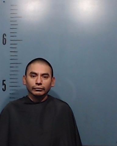 Paulin-Tellez, Patricio booking photo
