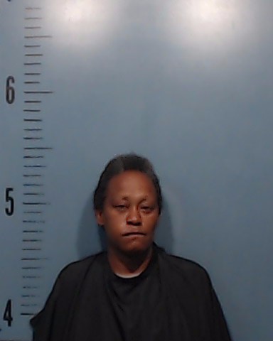 Houston, Tasha Lashay arrested by Taylor County SO/PD