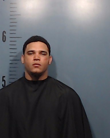 Espinosa Gainza, Wilmer booking photo
