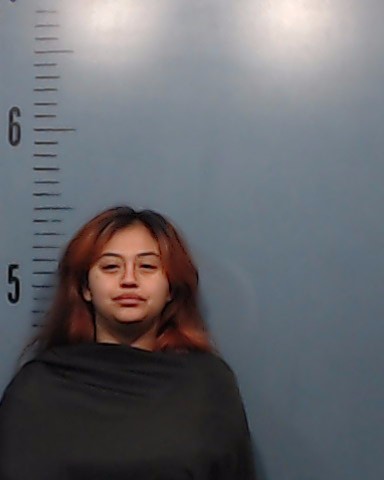 Torres, Blaney Santana booking photo