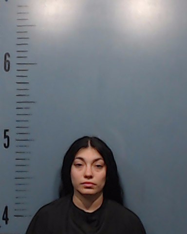 Moncibaiz, Justice Lee booking photo