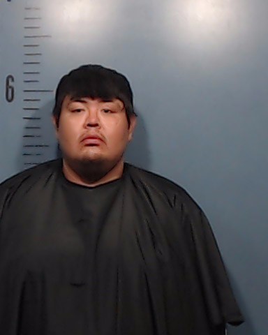 Shorthair, Damian Dan booking photo