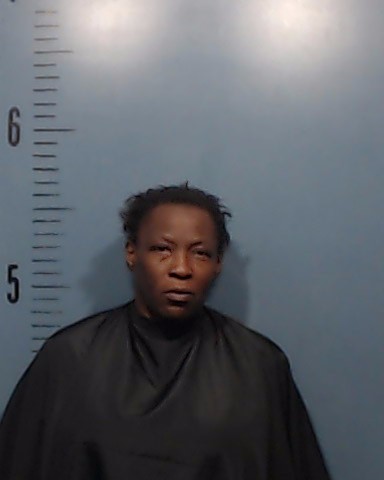 Wilson, Lasonya W booking photo