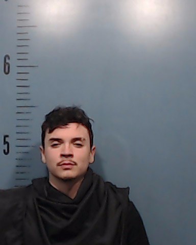 Hernandez Garza, Leo Javier booking photo