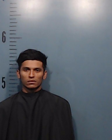 Zepeda-Castillo, Wilian Alexander booking photo
