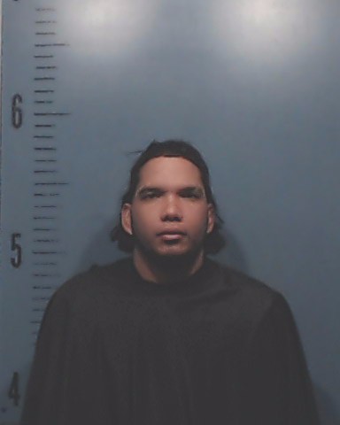 Puerta Martinez, Daniel Alejandro booking photo