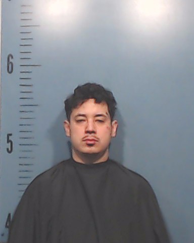 Gallegos, David Huerta booking photo