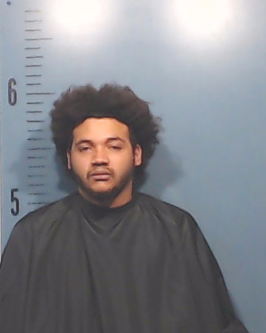 Reed, DaMareyon Lewis booking photo