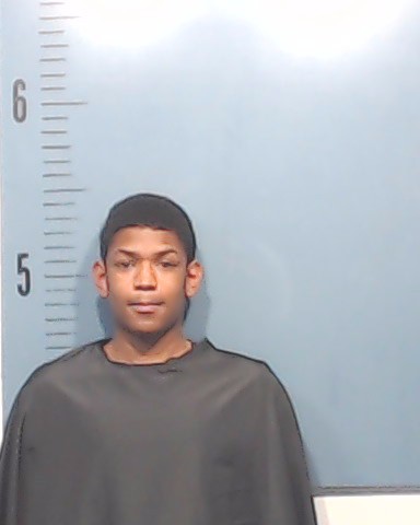 Webster, Bryston Isaiah booking photo