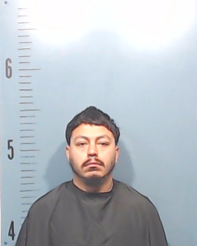 Romero Terrazas, Luis Alberto booking photo