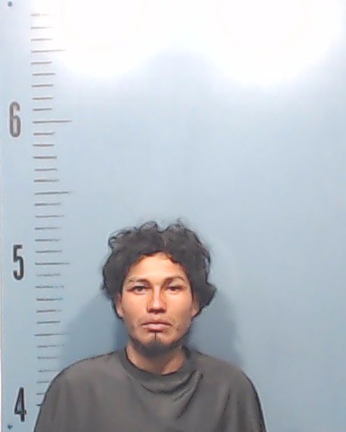Saral-Mena, Byron Salomon booking photo