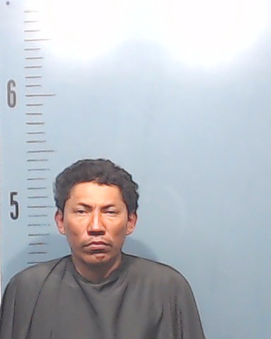 Patterson-Domingo, Walter booking photo