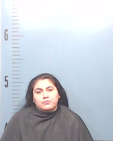 Rangel, Andrea Maria Michelle booking photo